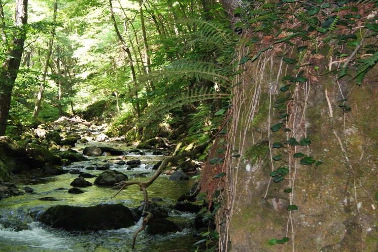 Владимир Гаглойты Пробуждение